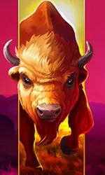Big Wild Buffalo